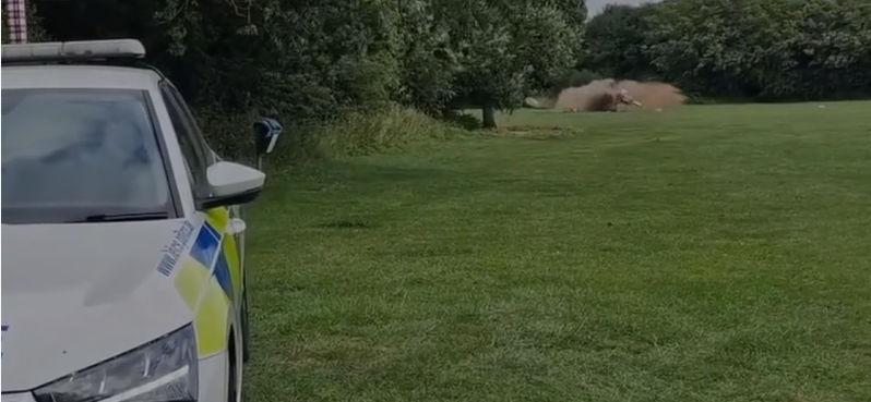 RMS UXO Limited news image for Unexploded WWII bomb found in belongings