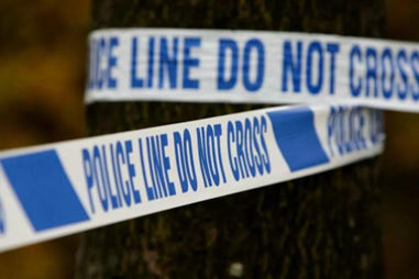 RMS UXO Limited news image for WWII bomb found in London Colney Garden